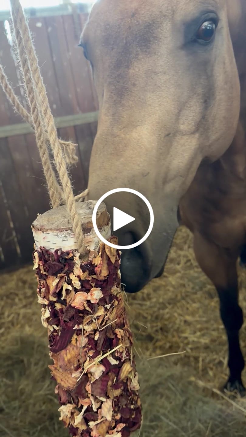 Customer video review of Knusperholz - limitiert! Der natürliche Knabberspaß für dein Pferd