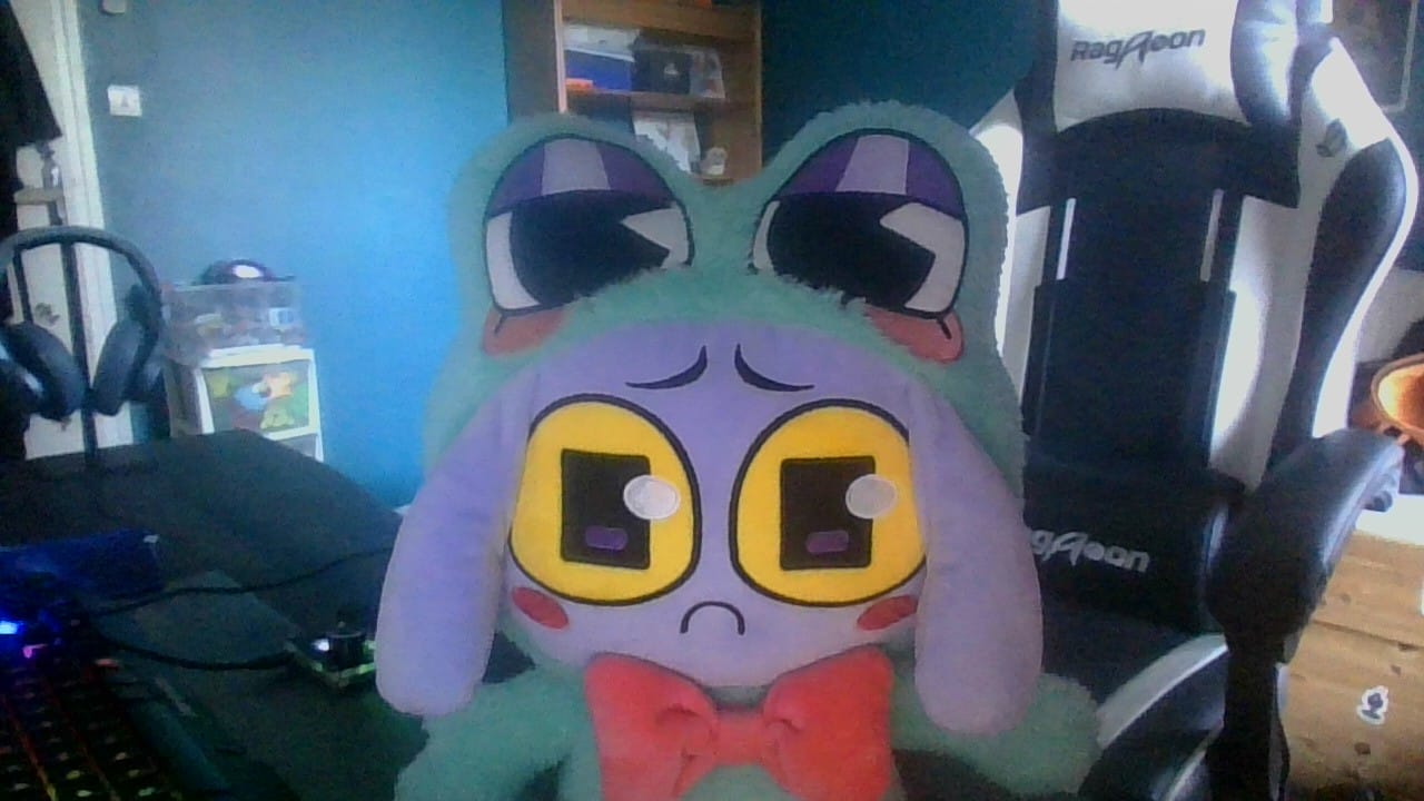 Customer photo review of Ribbit-Suit Jax Plush