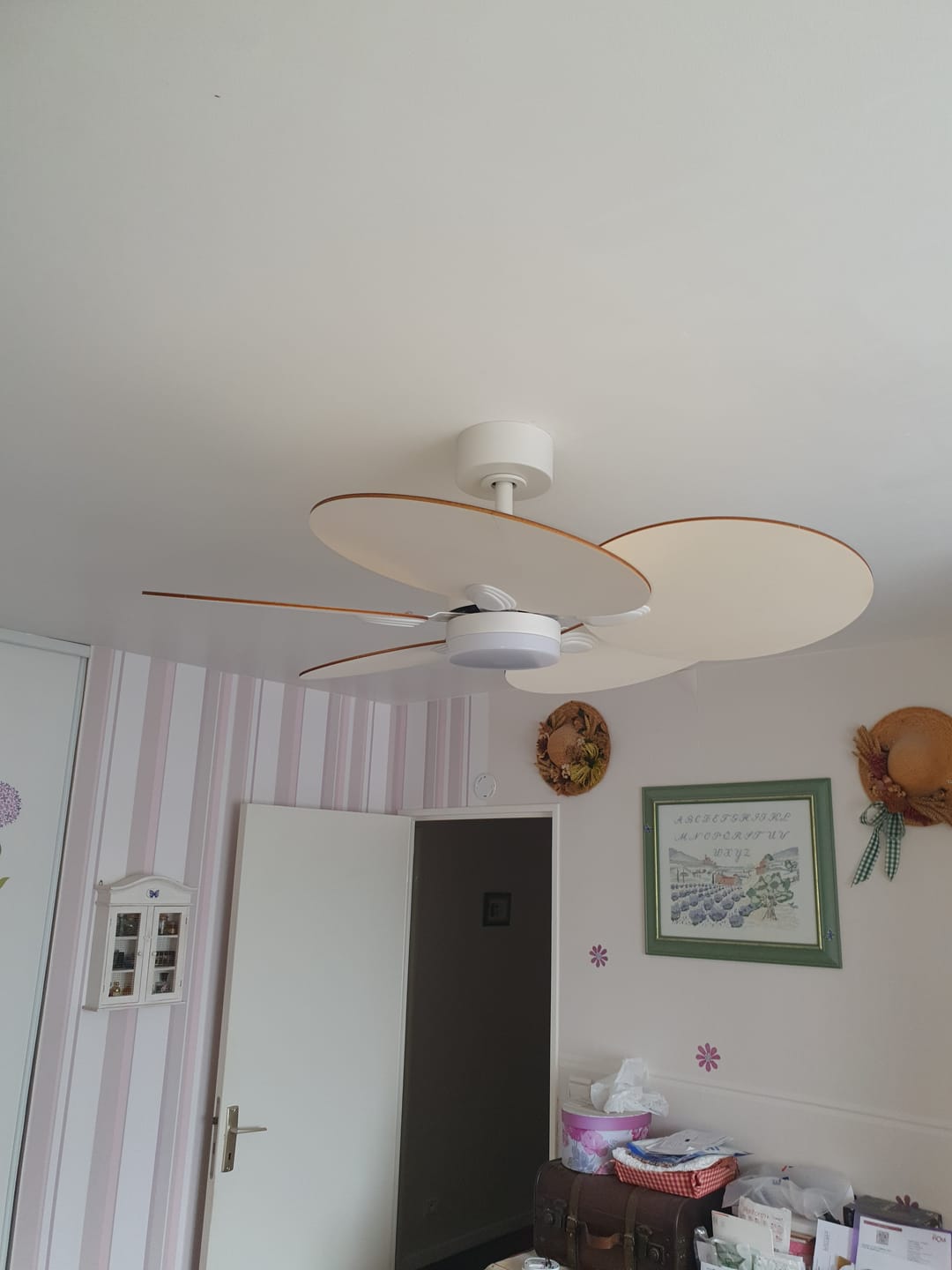Customer photo review of Lotus | Ventilateur de plafond