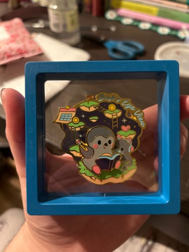 Customer's Birb's Eye View pin displayed inside a blue floating frame held in a person's hand.