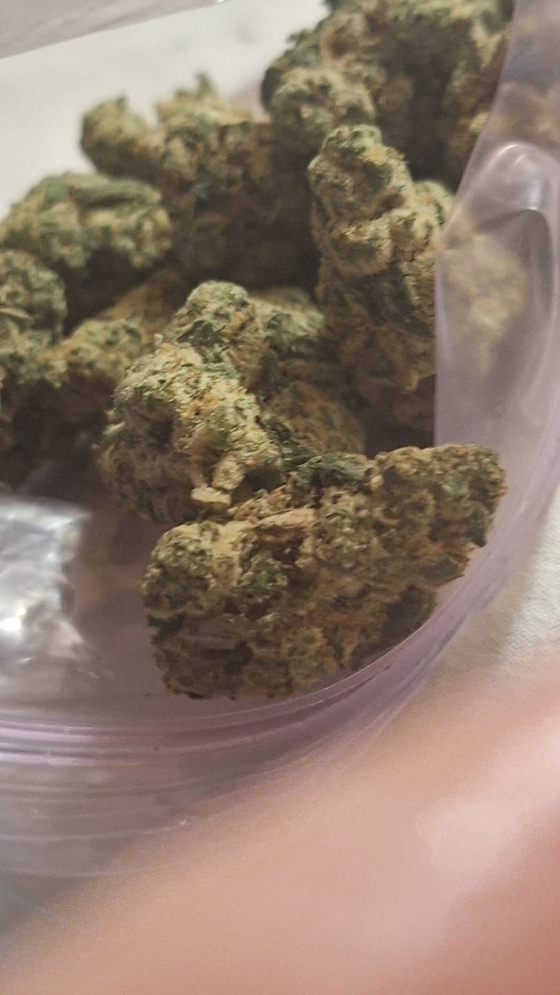 Customer photo review of Biscotti THCA Flower (Premium)