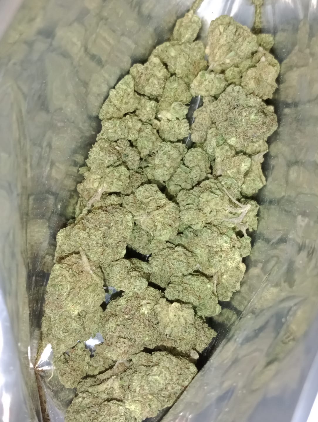 Customer photo review of Northern Lights THCA Flower