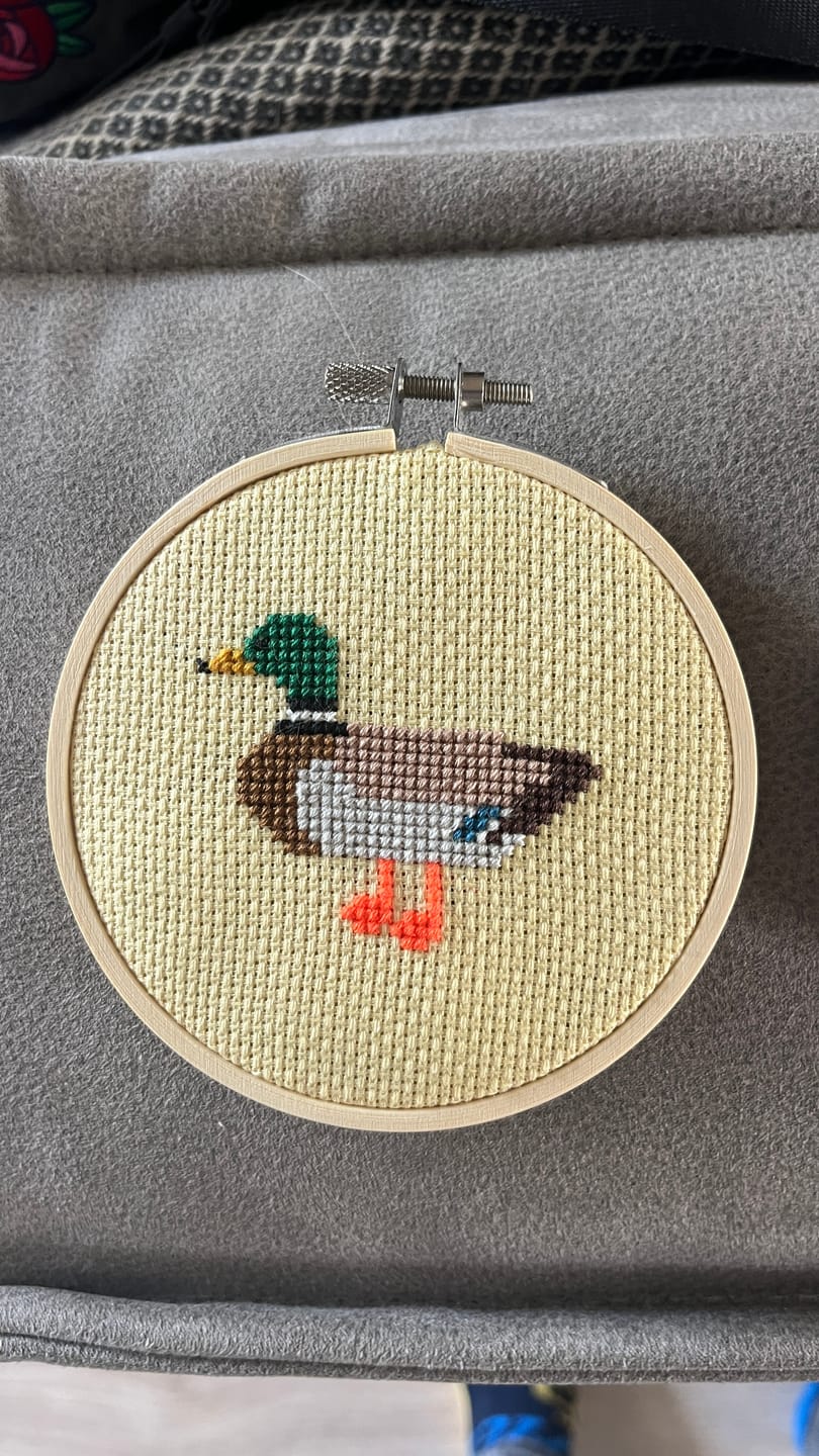 Customer photo review of Duck Cross Stitch Kit
