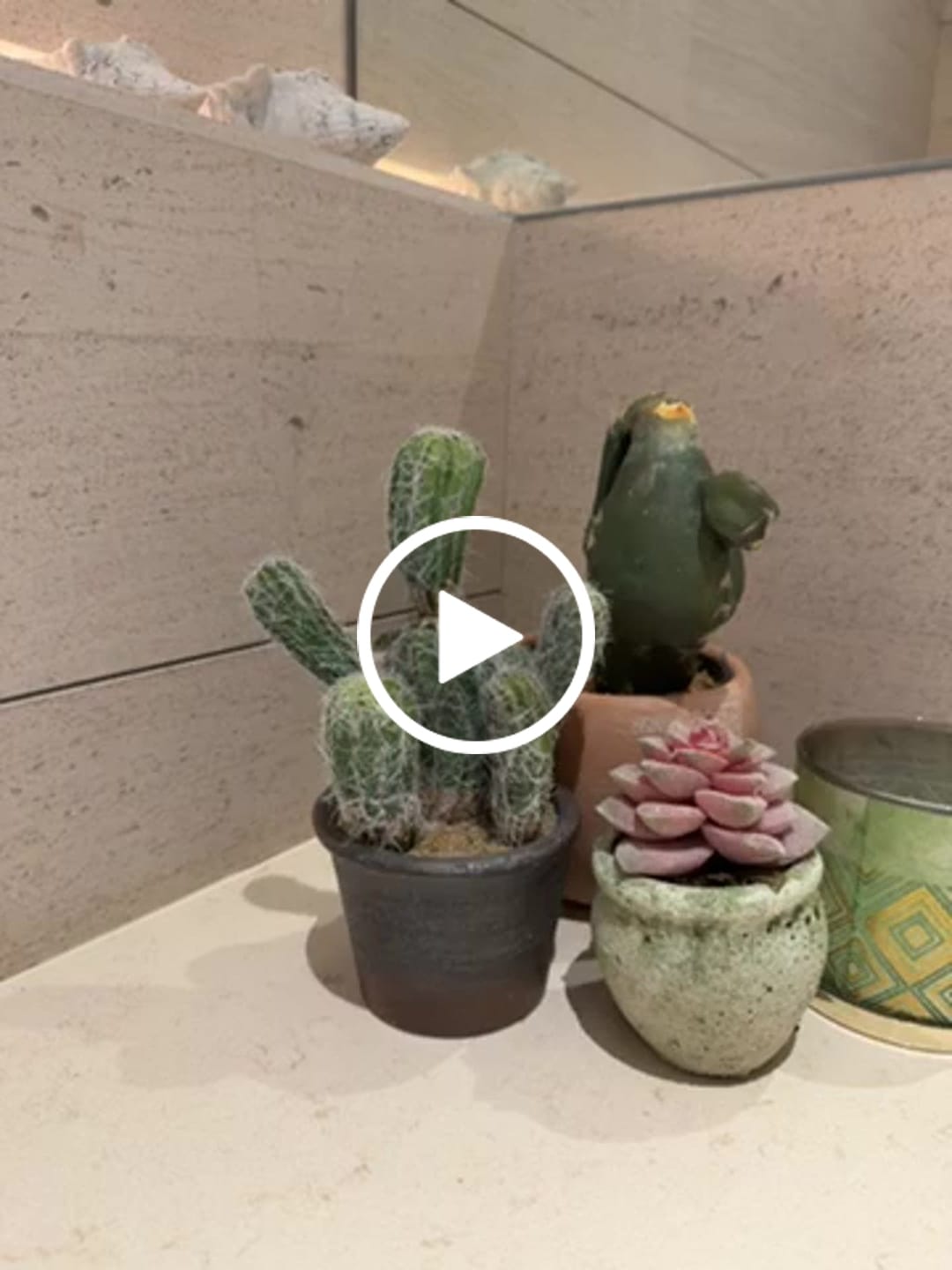 Customer video review of Handmade Decorative Artificial Potted Cactus N35020-SM062