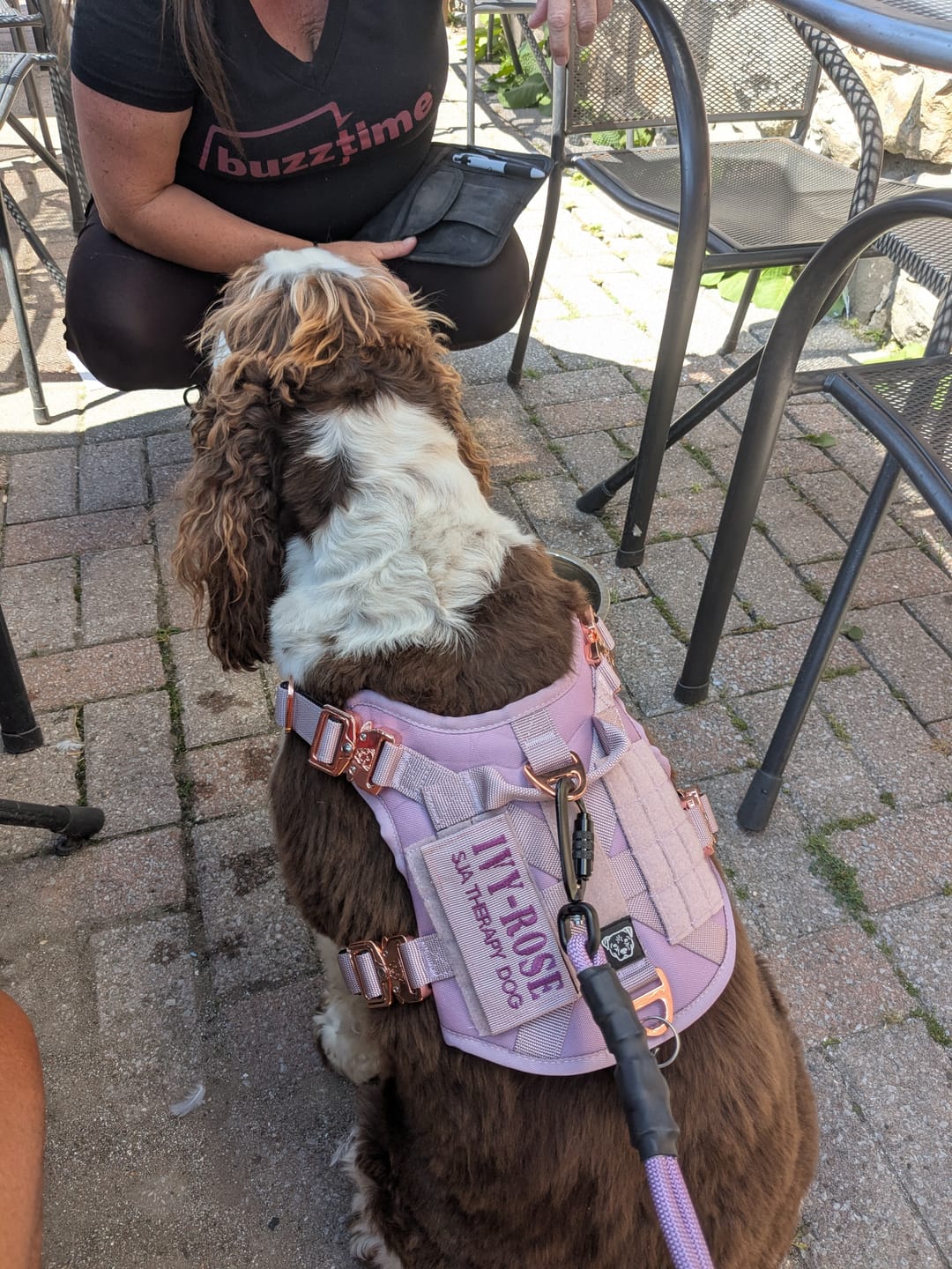 Customer photo review of HNTR 3.0 Dog Harness - Sofia