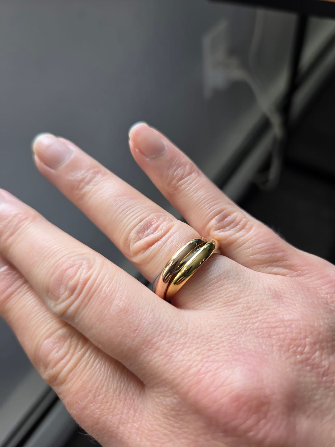 Customer photo review of Elena Three-Toned Loop Ring