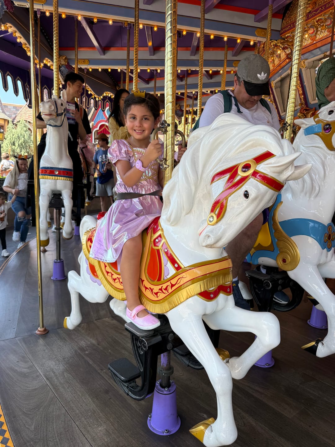 Customer photo review of Metallic Rapunzel Twirl Dress