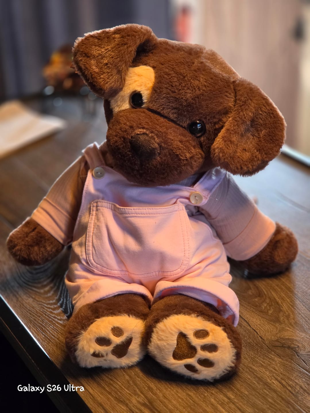 Customer photo review of Verzwaringsknuffel Hond 2,2 kg
