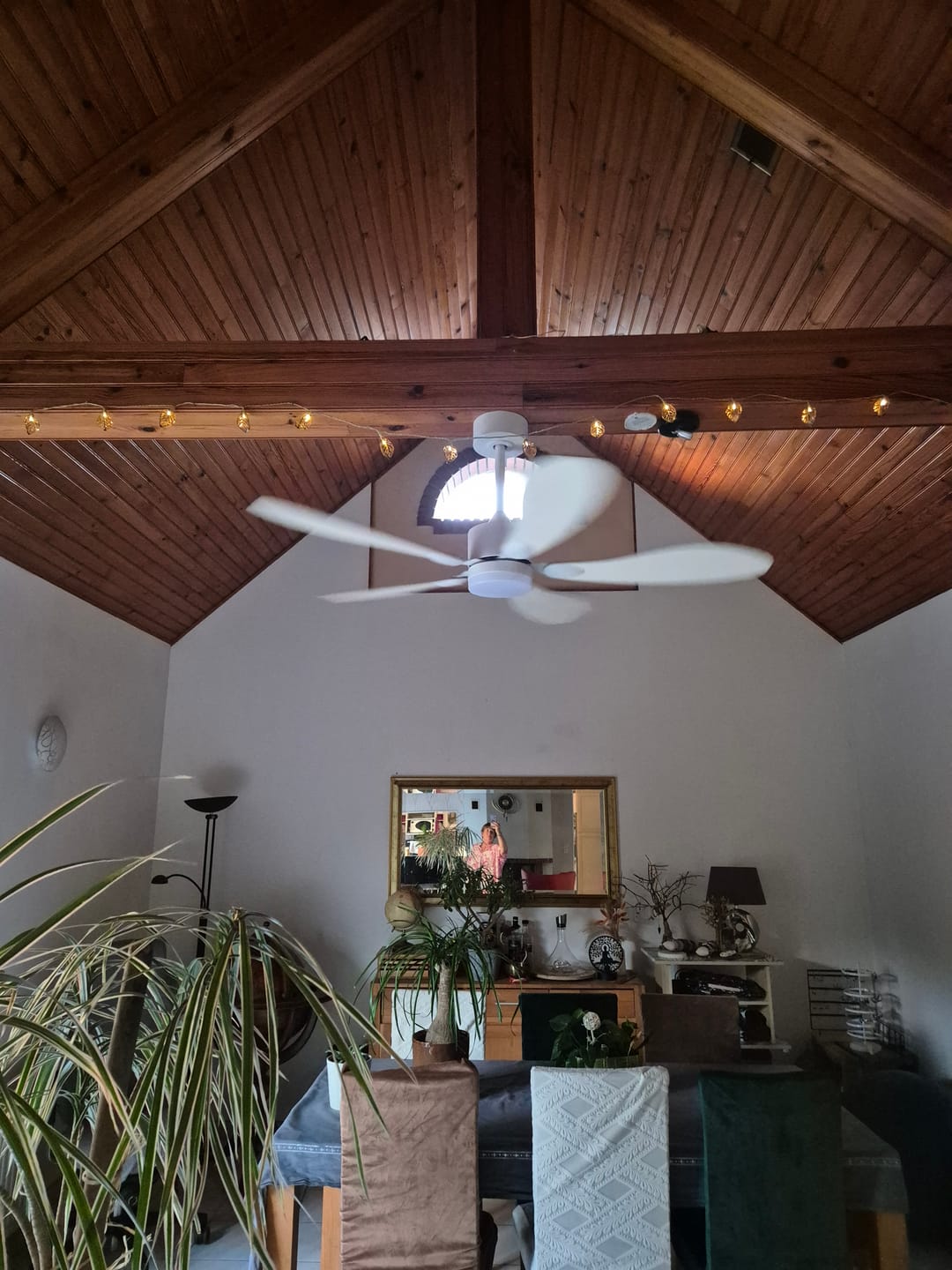Customer photo review of Libellule | Ventilateur de plafond