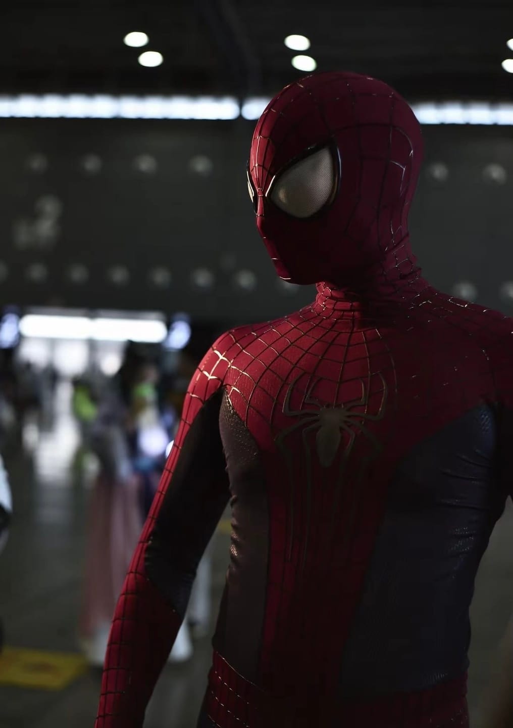Customer photo review of The Amazing Spider-Man Costume Replica Wearable Suit (Replica Grade)(Screen Printed)