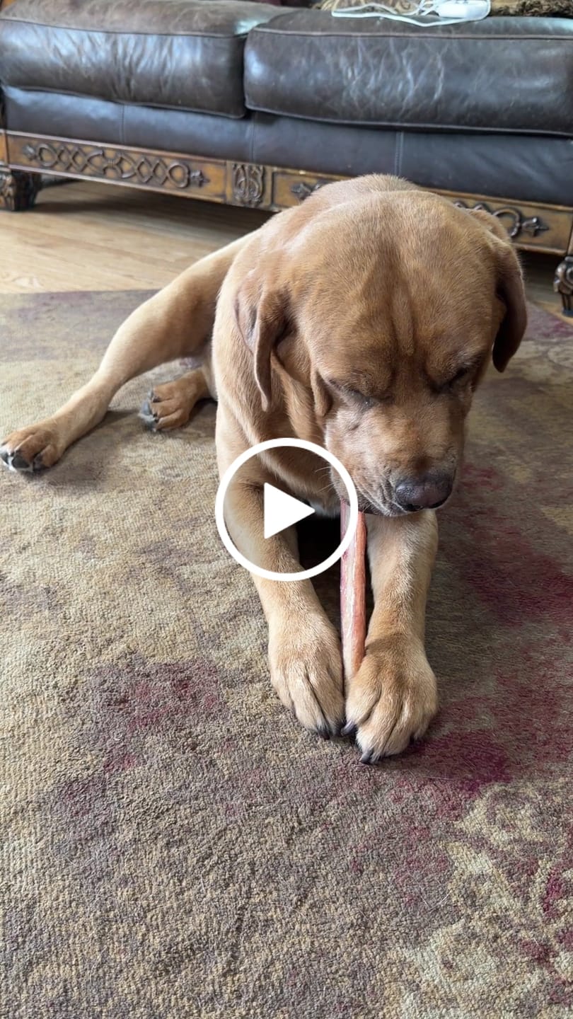Customer video review of 6 Inch Beef Jerky Stick