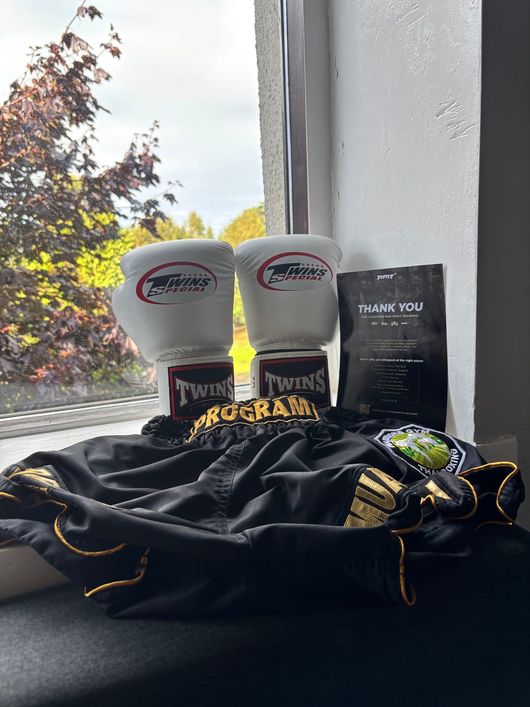 Customer photo review of Twins Special BGVL3 White Velcro Boxing Gloves