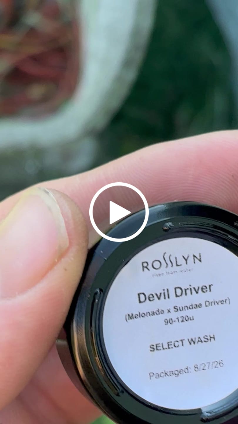 Customer video review of Devil Driver (Select Wash)