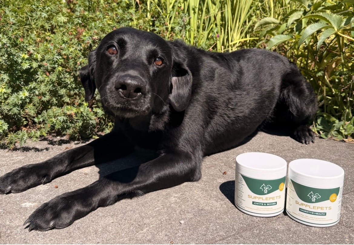 Customer photo review of Digestive Health