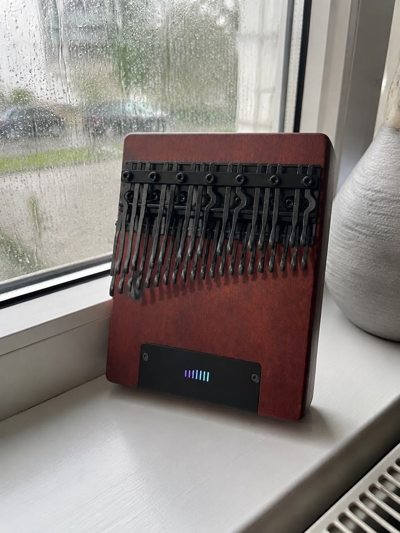 Customer photo review of Kalimba 36 Tasten - mit Tonabnehmer