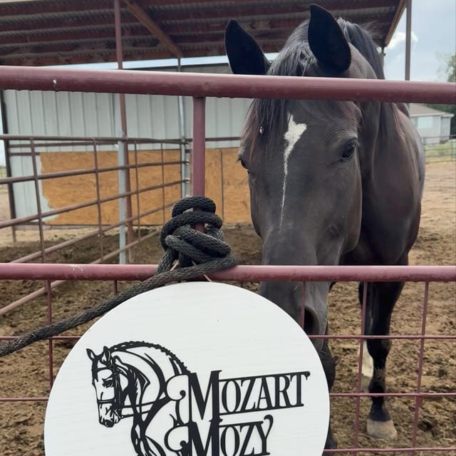 Customer photo review of Personalized Dressage Horse Metal Wall Art -Custom Barn, Rider, or Horse Name Sign