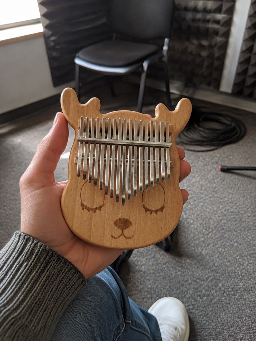 Customer photo review of Kalimba 17 Tasten - Akazienholz, Hirsch-Design