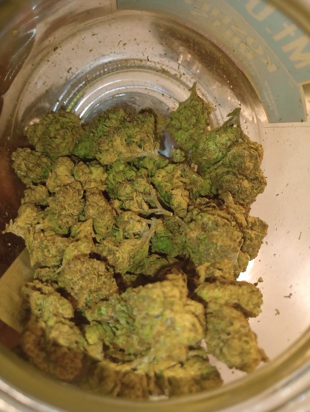 Customer photo review of Blue Sharpiez THCA Flower