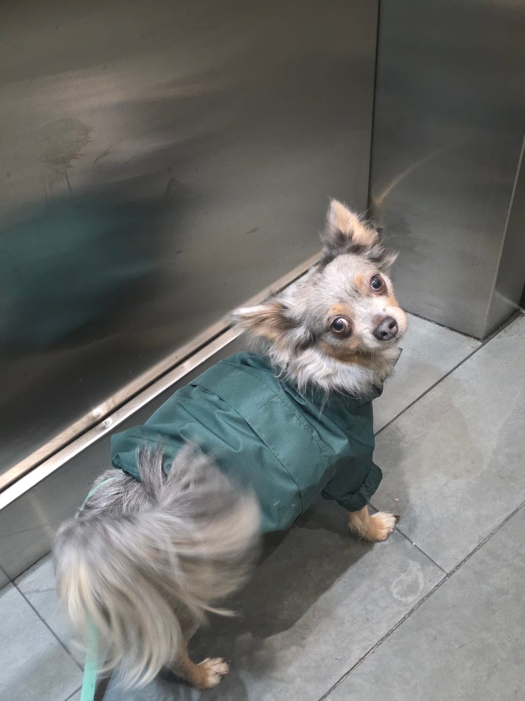 Customer photo review of Chaqueta Impermeable de Lluvia - Verde