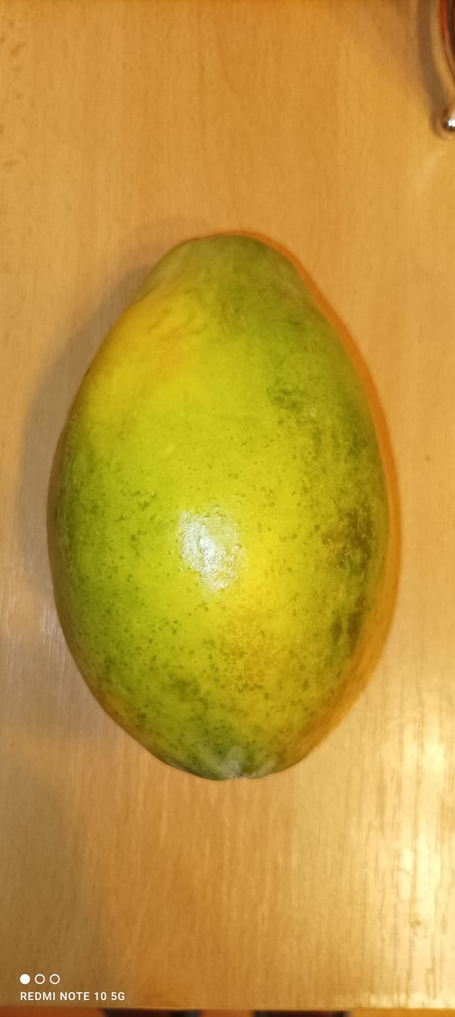 Customer photo review of Papaya Baby "Golden" (Stk. ca. 500g)