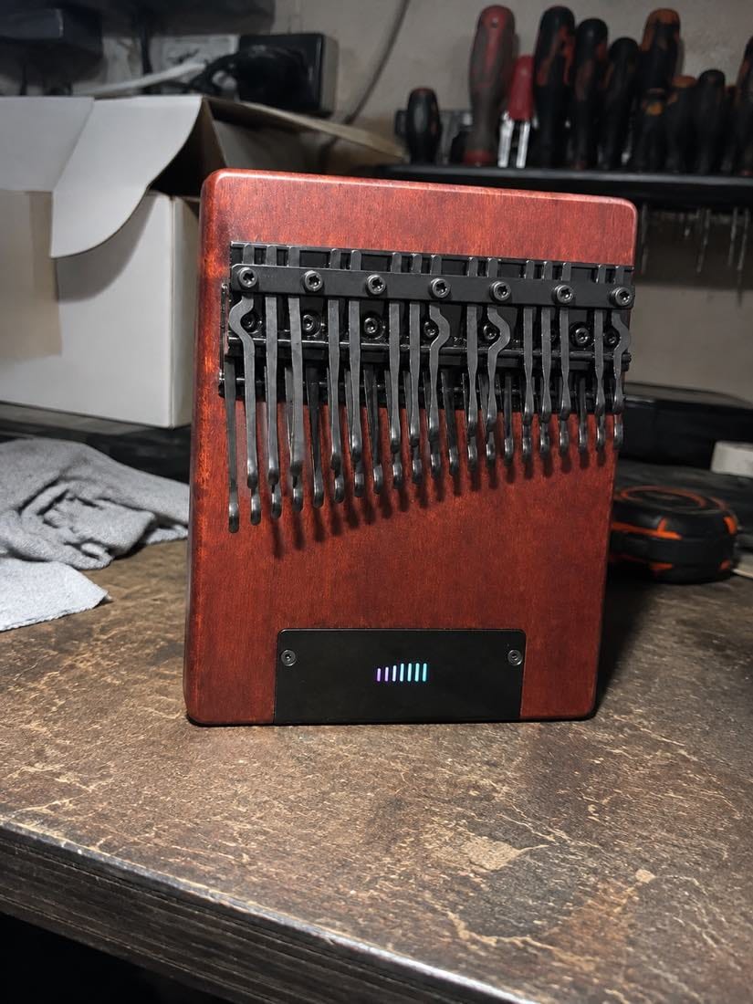 Customer photo review of Kalimba 36 Tasten - mit Tonabnehmer