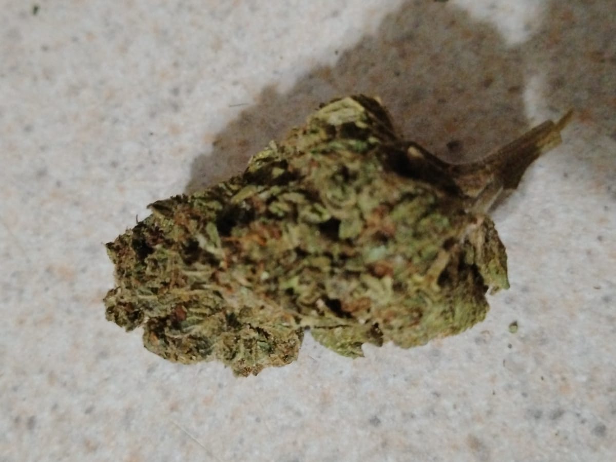 Customer photo review of Blackout Berries THCA Flower Ounce (28g)