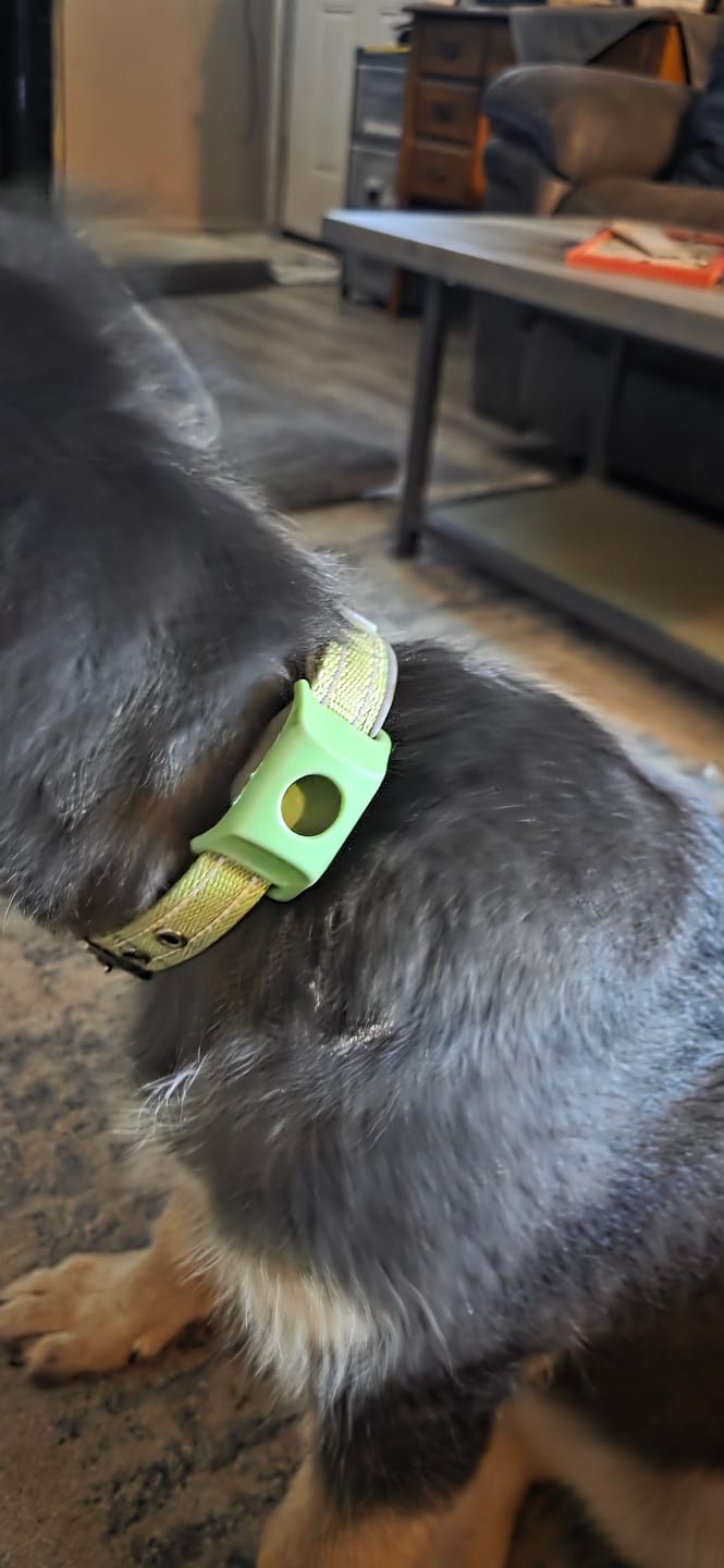 Customer photo review of FurLife™ 12 Months Flea and Tick Free