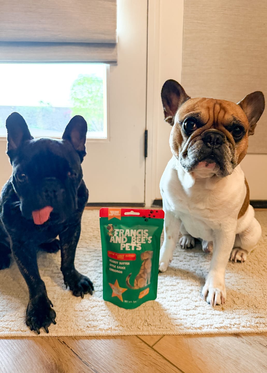 Customer photo review of Apple Peanut Butter Bites– Plant-Based Dog Treats