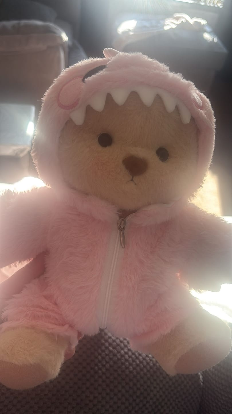 Customer photo review of Pink Dino