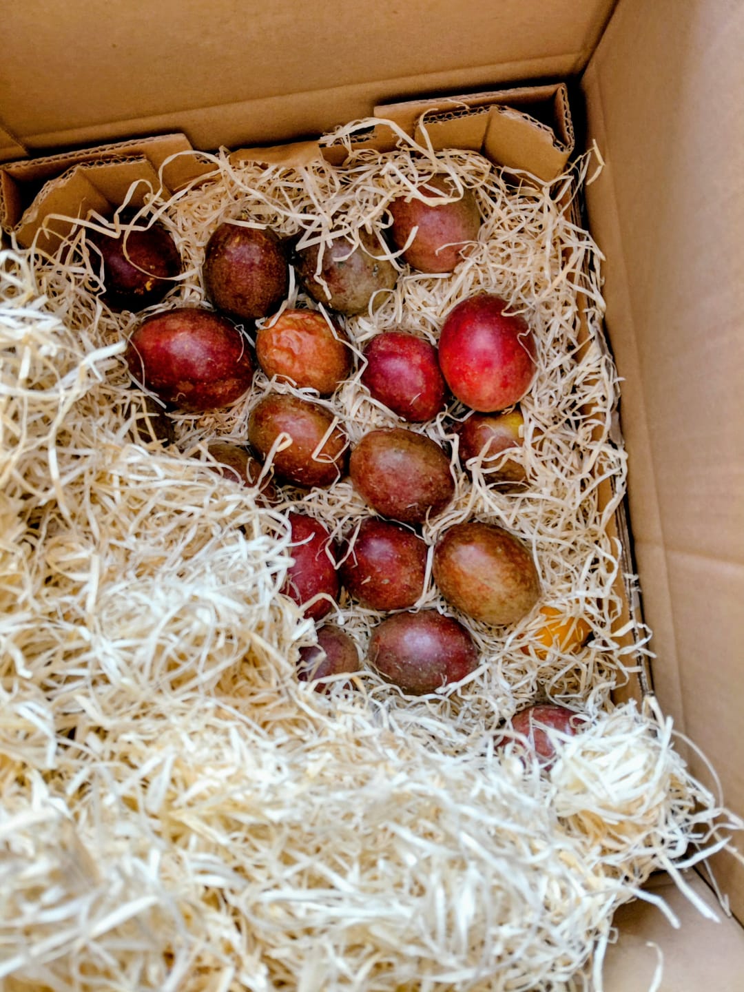 Customer photo review of Passionsfrüchte Bio von Julian Aktionswoche %
