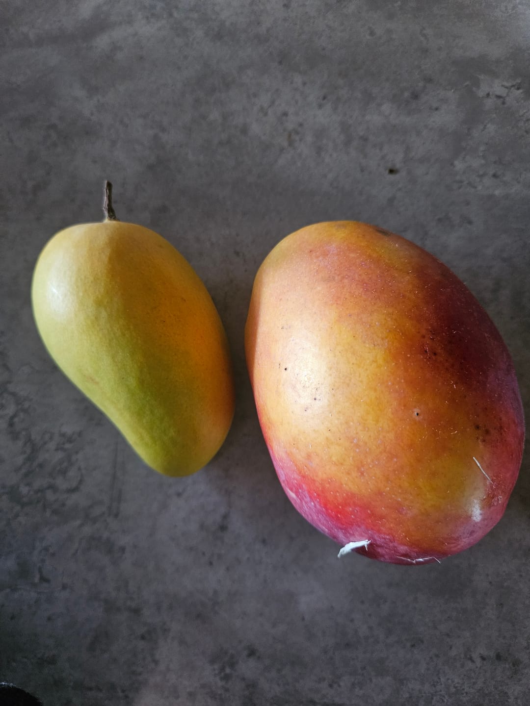 Customer photo review of Mango-Raritäten Mix von Julian