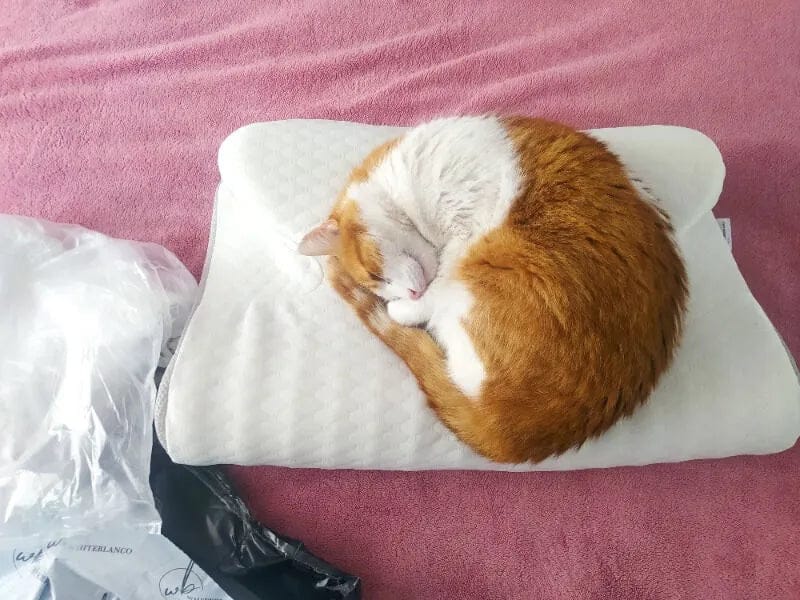 Customer photo review of UykuLab Ergonomik Yastık