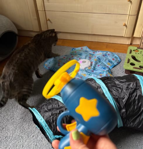 Customer photo review of 空中フライングキャッチャー