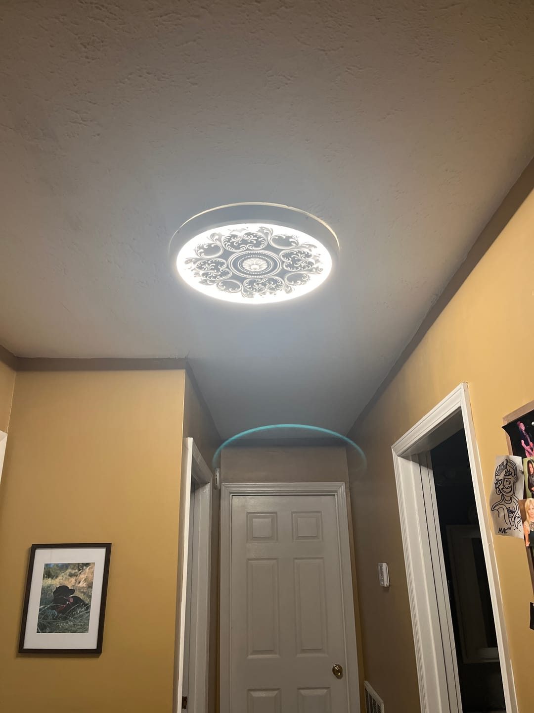 Customer photo review of Decorative French White Medallion LED Flush Mount Light