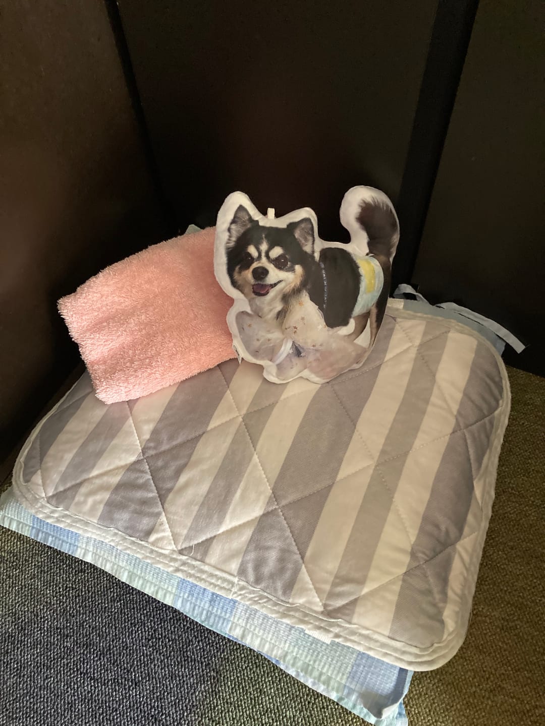 Customer photo review of 世界にひとつだけ♪好きな写真で作るオーダーメイドクッション（20～80cm）