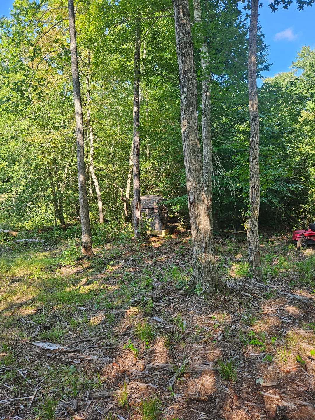 Customer photo review of FLASH SALE Vis360 See Through Silent 4 Full Panels Deer Hunting Blind