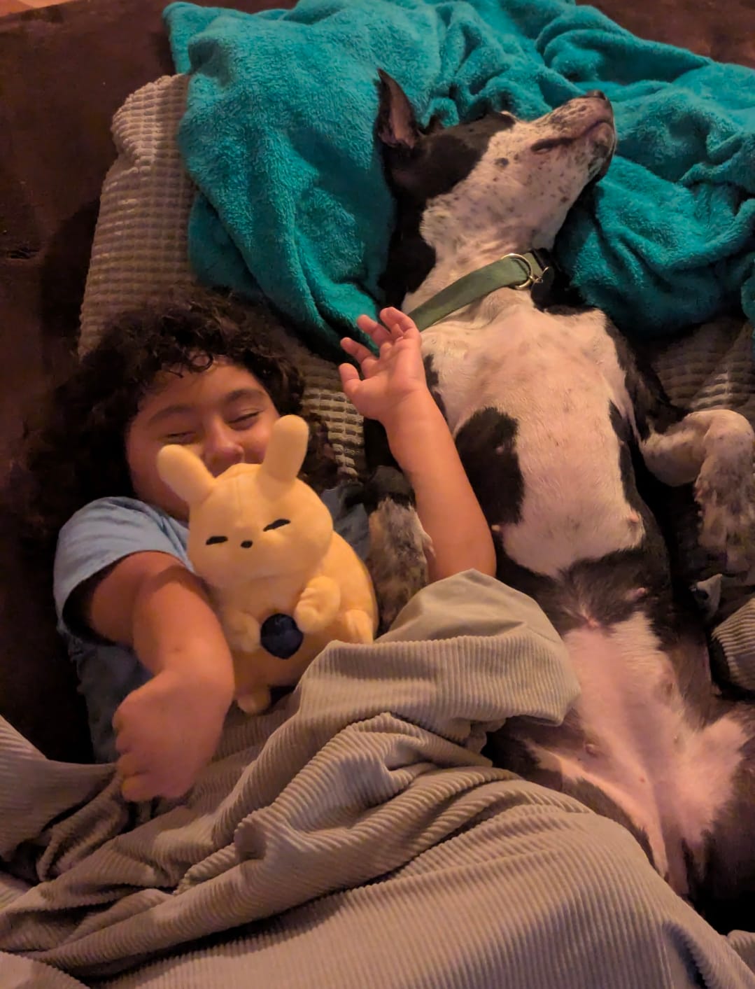 Customer photo review of Rain World - Gourmand Slugpup Plush