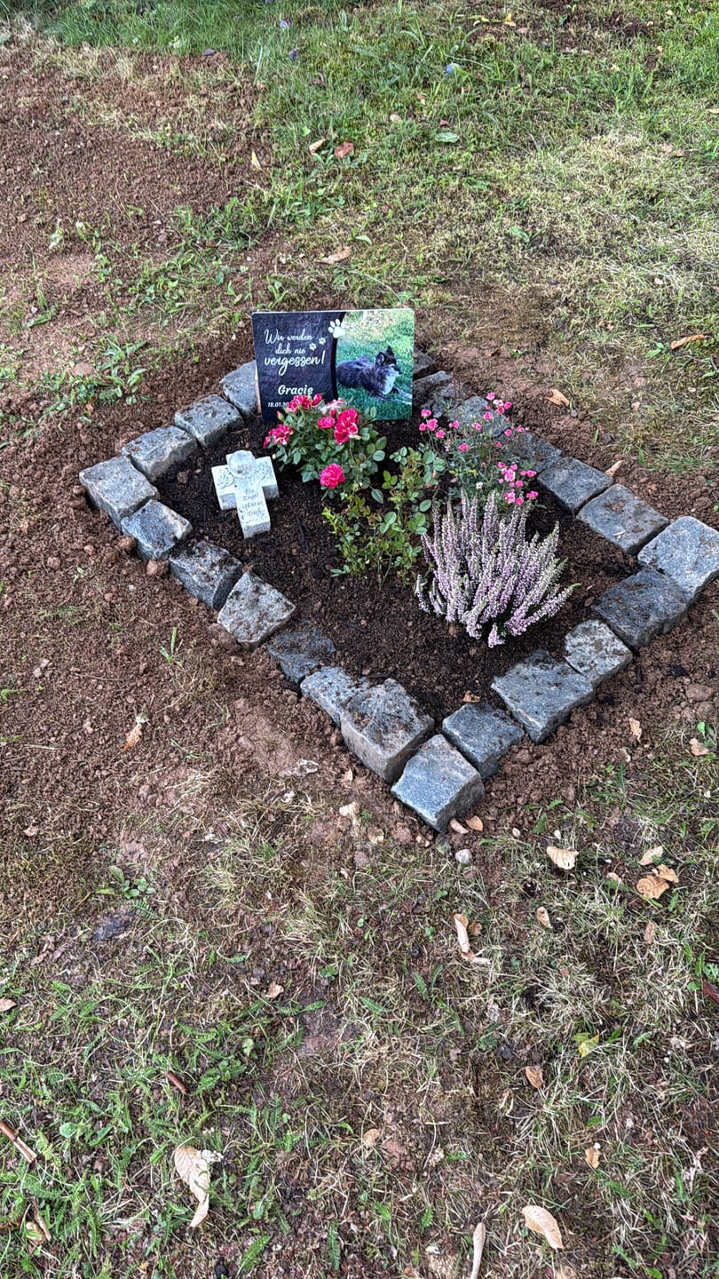 Customer photo review of Hunde Gedenktafel mit Foto & Spruch (UV- &  Wetterfest)