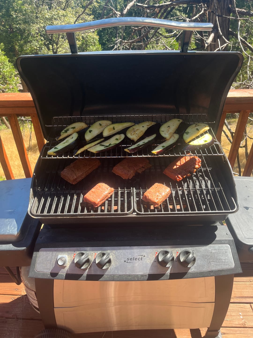 Customer photo review of Hot Vegan Honey Baby Ribs (1 Rack)
