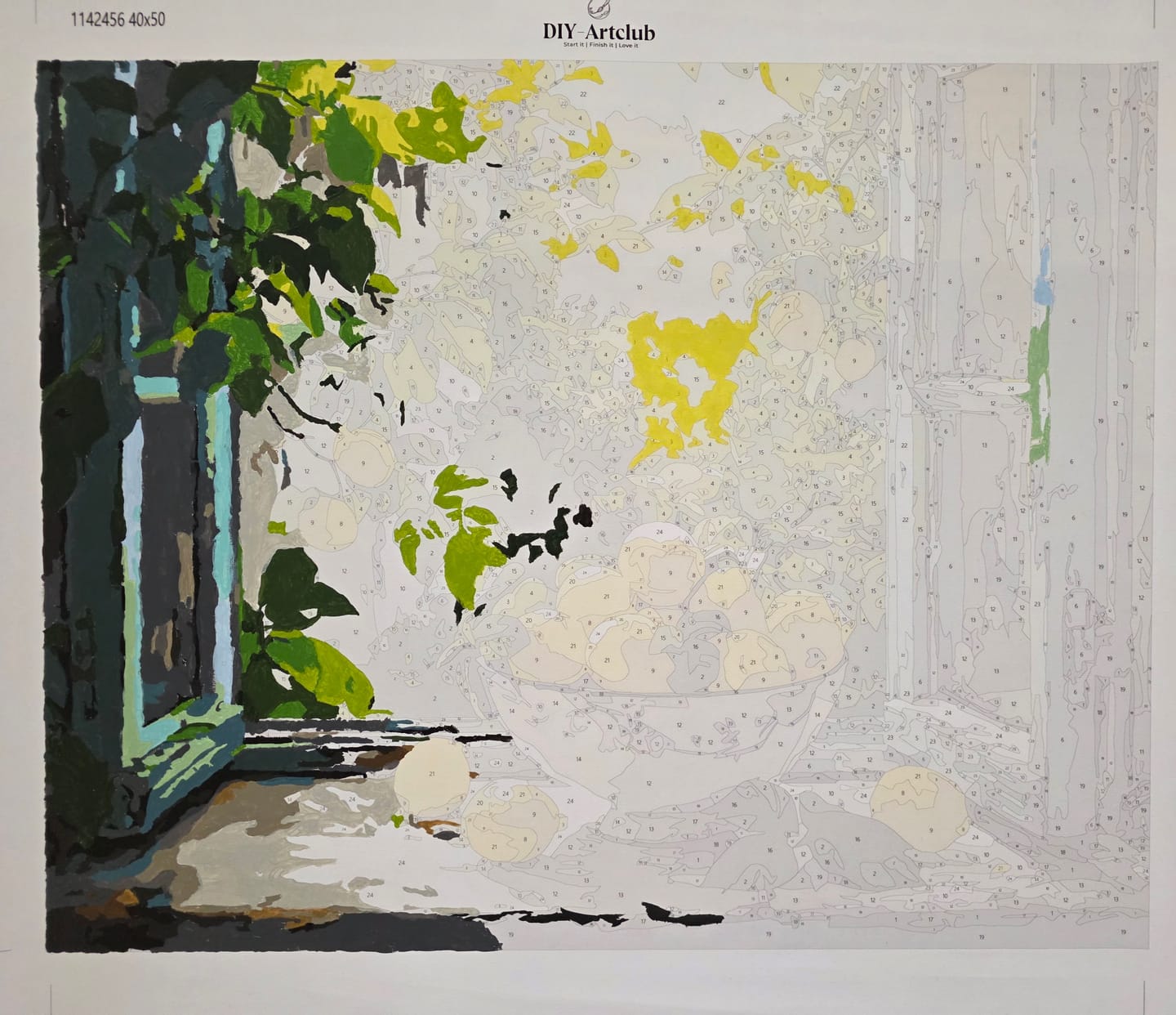 Customer photo review of Lemon Bowl at the Window | Paint by Number