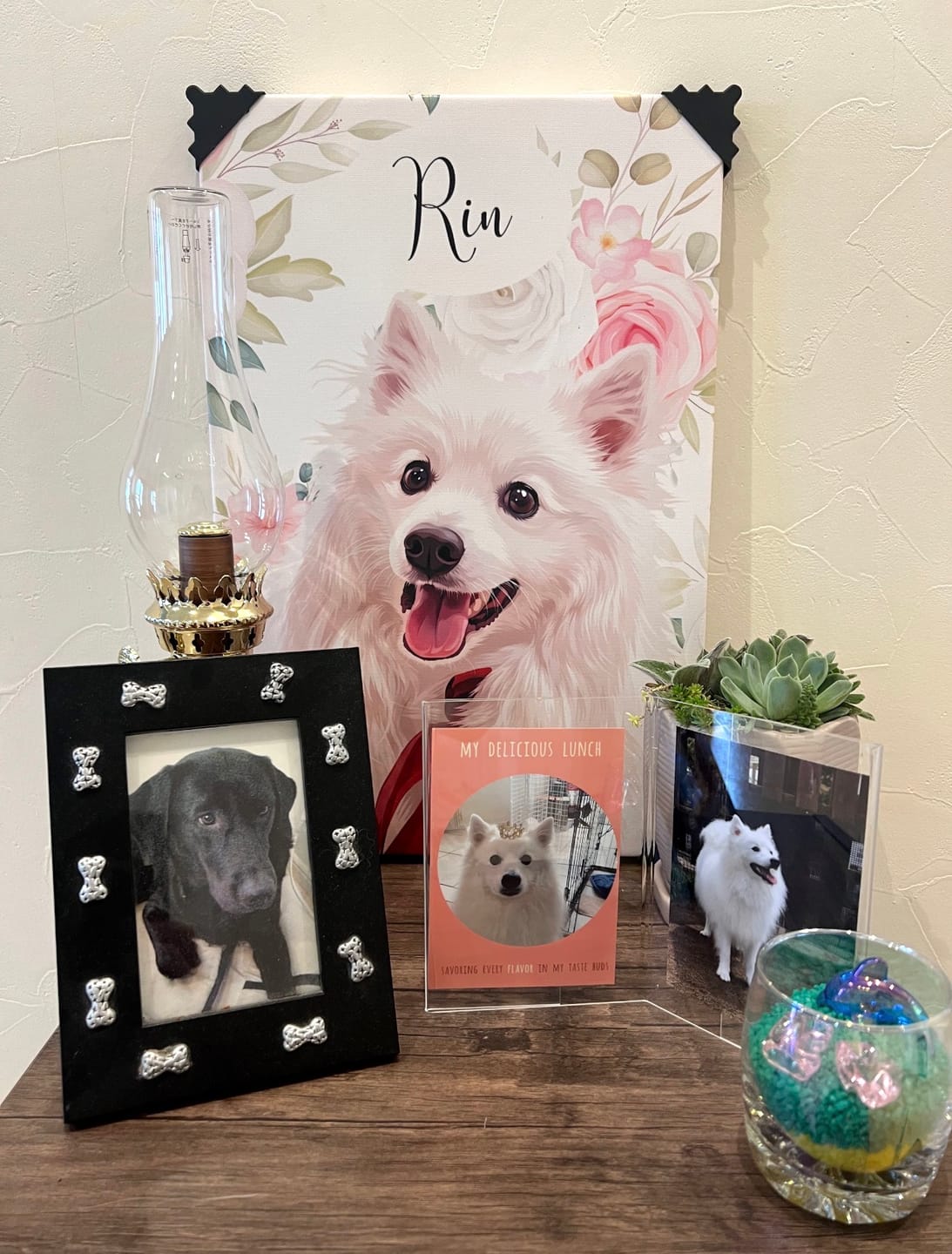 Customer photo review of Petcanva® 品質補償サービス