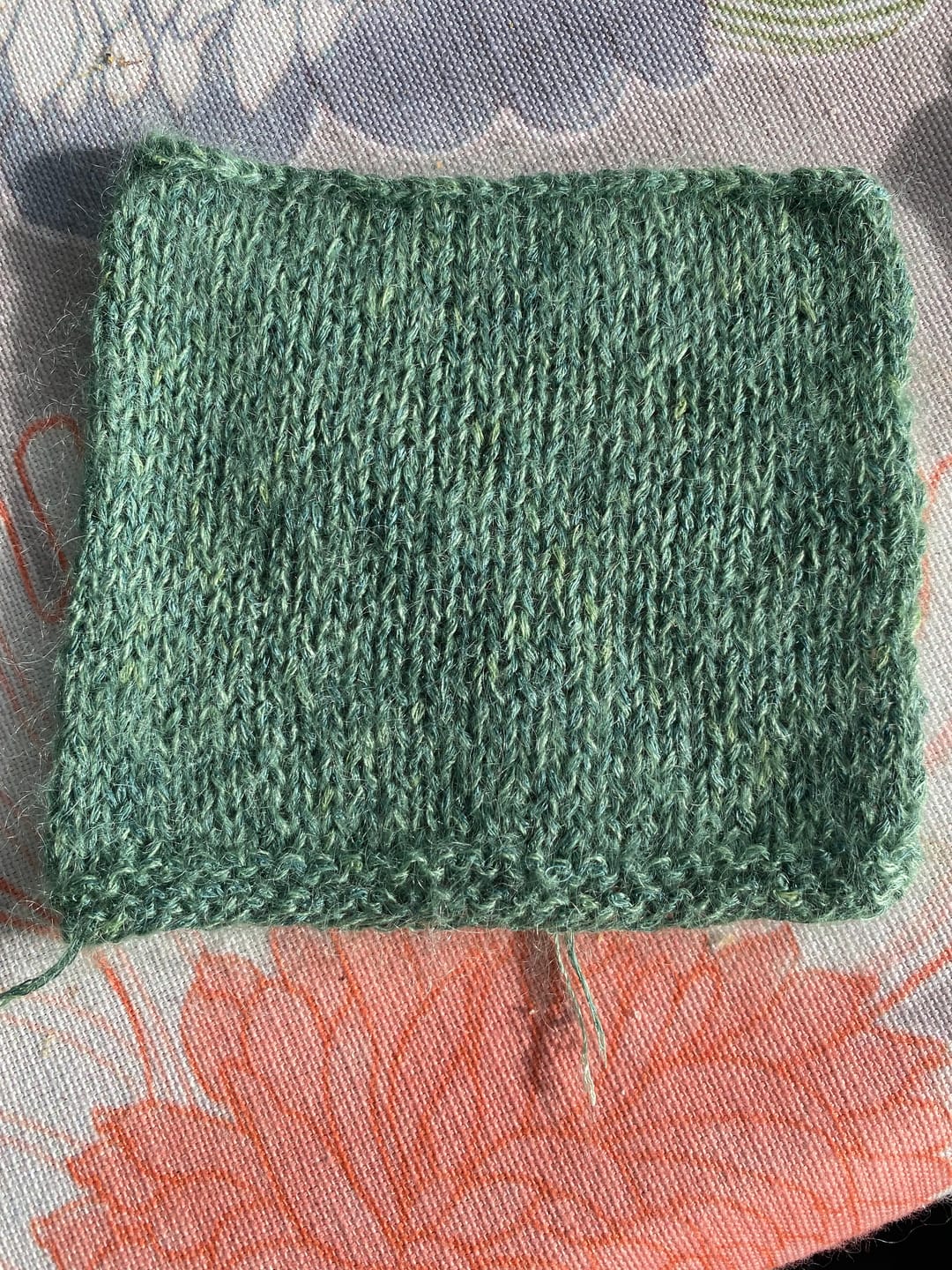 Customer photo review of LINEN BLOOM