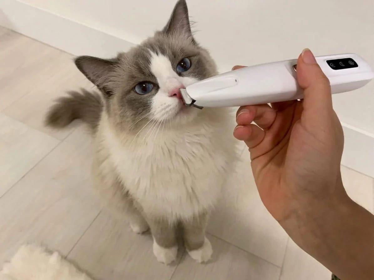 Customer photo review of Tondeuse Silencieuse Anti-Nœuds — Pour Chat Poils Longs & Courts