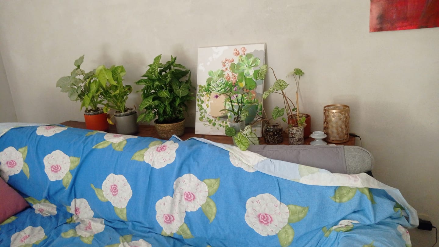 Customer photo review of Spring Succulents | Paint by Number