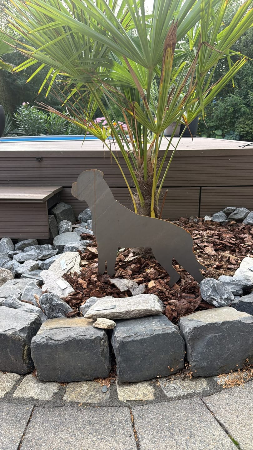 Customer photo review of Gartenstecker Boxer