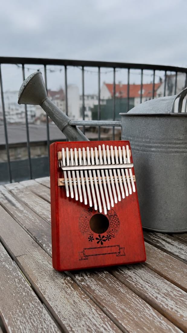Customer photo review of Kalimba 17 Tasten - Japan-Style