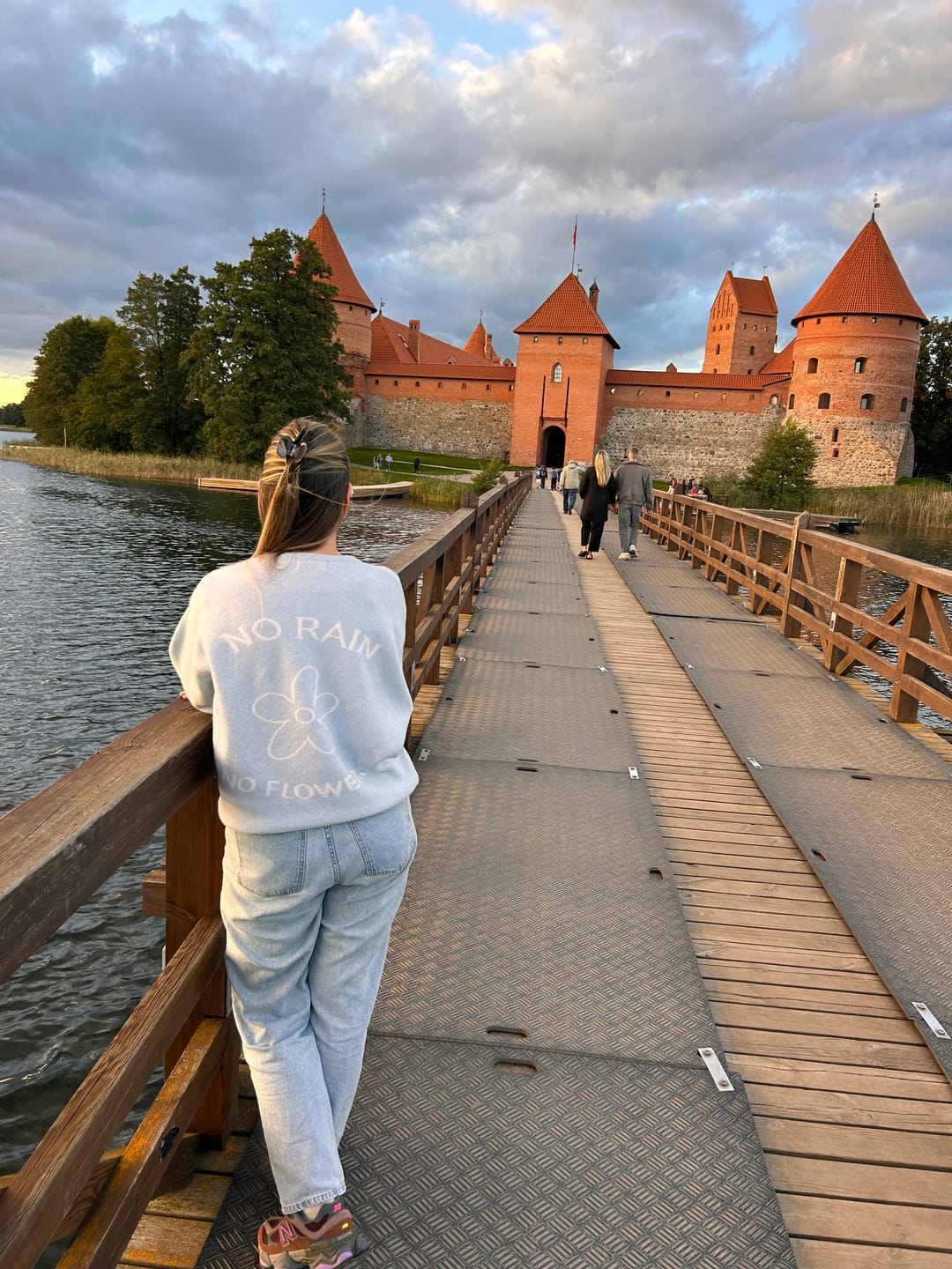 Customer photo review of FLOWER Kašmyro ir Merino Vilnos Megztinis