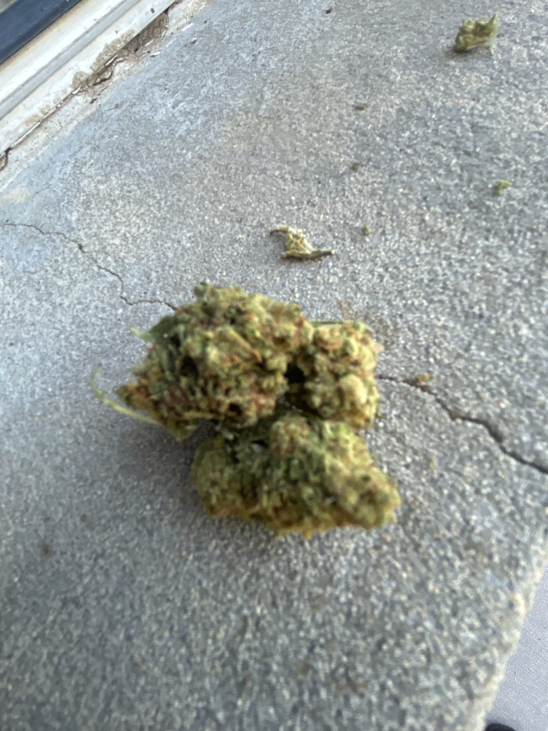 Customer photo review of Cheap THCA Smalls Ounce