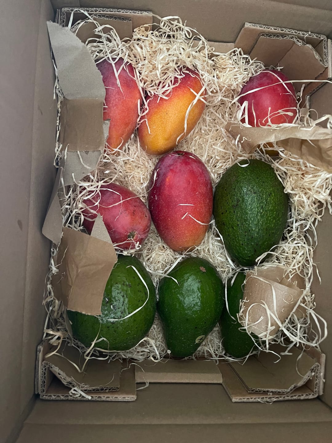 Customer photo review of Mango Irwin Edelsorte Bio von Julian