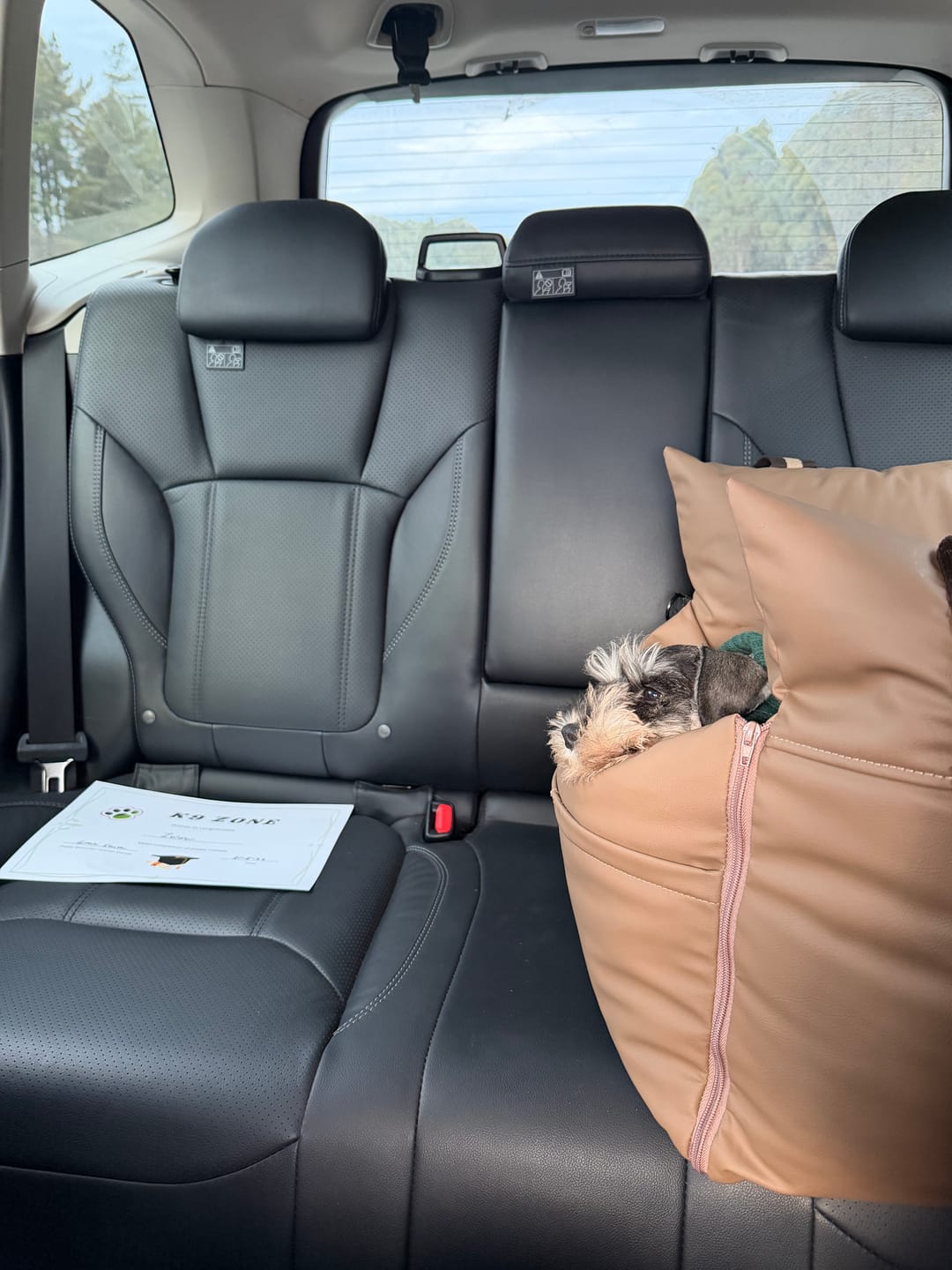 Customer photo review of Boujee Booster